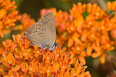 合作解谜游戏《卓娅：天界姐妹》Steam现已发售